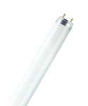 Leuchtstofflampe