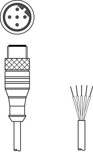 Artikelbild